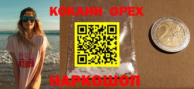 молекула духа Будённовск