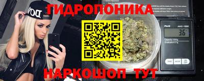 молекула духа Будённовск