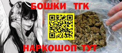 молекула духа Будённовск