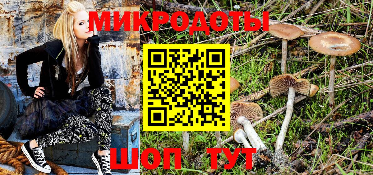 Галлюциногенные грибы мицелий  Вход с VPN  Мичуринск 